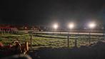 500 watt led Paardenbak verlichting / Rijbakverlichting, Ophalen of Verzenden
