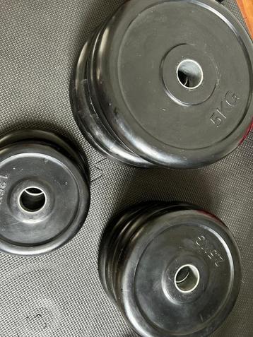 Set professionele barbellschijven – totaal 30 kg beschikbaar voor biedingen