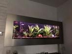 RGB Ledbalk + TC420 Led time controller + adapter, Ophalen of Verzenden, Zo goed als nieuw, Verlichting of Verwarming