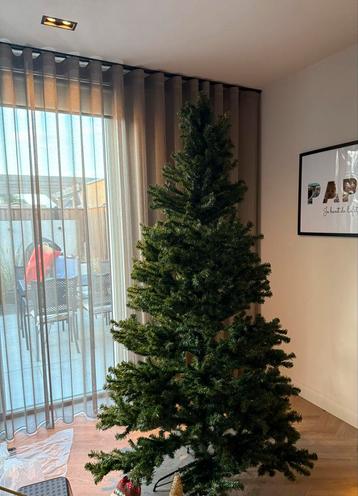 Kerstboom beschikbaar voor biedingen