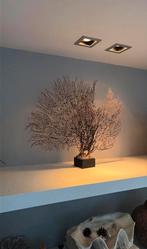 Grote zee waaier (!) zeegras, Ophalen of Verzenden