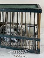 Vintage Frans groen houten vogelkooi met ruif en voerpotje, Ophalen of Verzenden