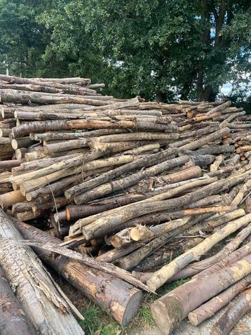 Brandhout-ketingzaaghout-Stamhout Gemengd Loofhout beschikbaar voor biedingen