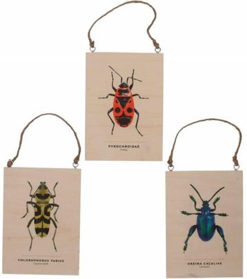 INSECTEN - WANDDECORATIE - SET 3 STUKS 6 EURO beschikbaar voor biedingen