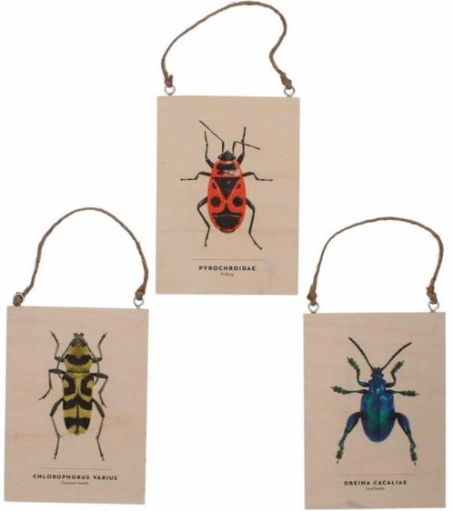 INSECTEN - WANDDECORATIE - SET 3 STUKS 6 EURO, Huis en Inrichting, Woonaccessoires | Wanddecoraties, Nieuw, Ophalen of Verzenden