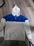 Nieuwr hoody/ trui Raizzed 164, Nieuw, Jongen, Trui of Vest, Ophalen of Verzenden