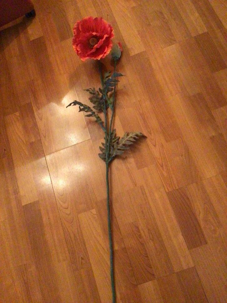 Grote klaproos, Huis en Inrichting, Woonaccessoires | Wanddecoraties, Zo goed als nieuw, Ophalen of Verzenden