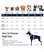 Hondentruien . Maat L, Dieren en Toebehoren, -, -, Nieuw, Ophalen of Verzenden