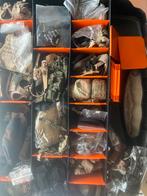 1/6 Action Figure Kleding & Gear - DML, BBi, DiD, ACE, Ophalen of Verzenden, Overige soorten, Overige gebieden, Kleding of Schoenen