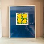 Vintage litho zeefdruk tulpen Ad van Hassel, Antiek en Kunst, Verzenden