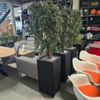 Diverse grote kunstplanten in hoge pot voor kantoor, woning, Ophalen of Verzenden, Gebruikt
