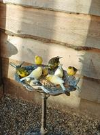 Kanaries geel/bond/groen(wildkleur), Dieren en Toebehoren, Vogels | Kanaries, Meerdere dieren, Kleurkanarie