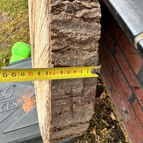 Boomstam / schijf, Doe-het-zelf en Verbouw, Hout en Planken, Zo goed als nieuw, Plank, Eiken, Minder dan 200 cm, Ophalen of Verzenden