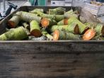 Kersenhout Haardhout te Koop - 0,8m3, Minder dan 3 m³, Ophalen, Overige houtsoorten, Blokken