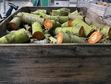 Kersenhout Haardhout te Koop - 0,8m3 beschikbaar voor biedingen