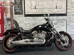 HARLEY-DAVIDSON V-ROD MUSCLE VRSCDX NIGHT ROD SPECIAL (bj 20, Motoren, Motoren | Harley-Davidson, 2 cilinders, Bedrijf, Meer dan 35 kW