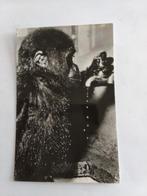 ARTIS AMSTERDAM.  JONGE GORILLA, Verzamelen, Ophalen of Verzenden, Voor 1920