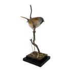 Te koop! Diverse prachtige opgezette vogels., Verzamelen, Dierenverzamelingen, Ophalen of Verzenden, Nieuw, Vogel, Opgezet dier