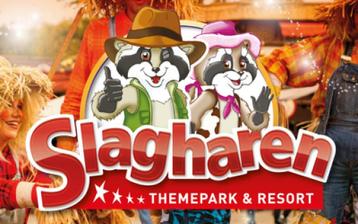 Vier toegangskaarten Attractiepark Slagharen! beschikbaar voor biedingen