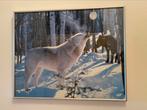 Een ontzettend mooie poster Witte wolf en winter 40x50 zgan, Minder dan 50 cm, Ophalen of Verzenden, Zo goed als nieuw, Foto of Poster