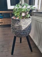 Supertoffe bloempot op poten (evt. incl. potroos), Ophalen, Minder dan 100 cm