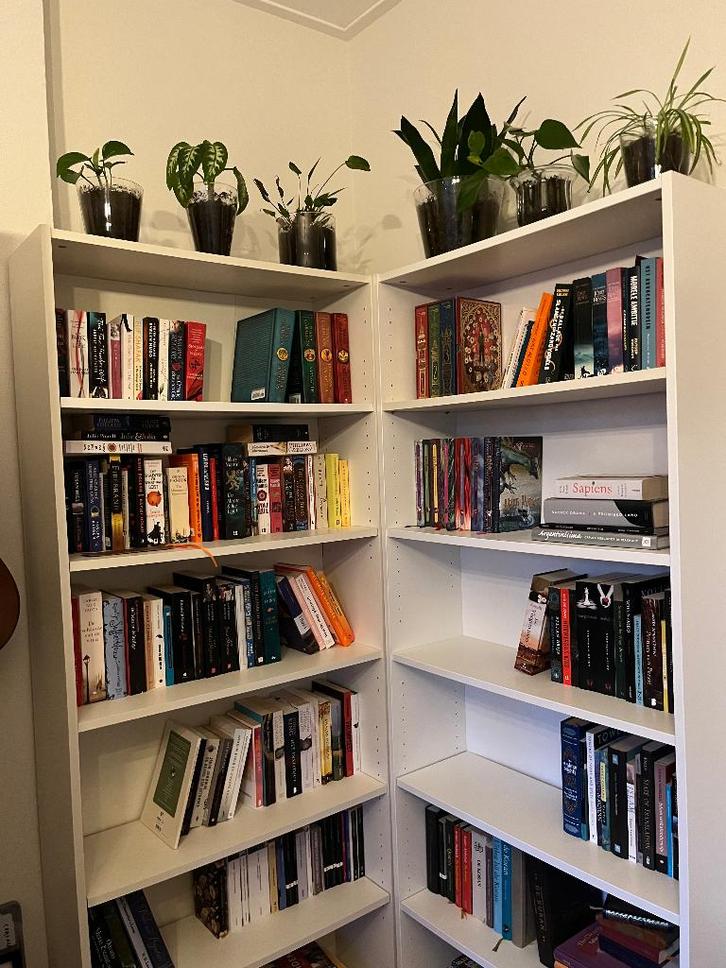 BILLY Boekenkast IKEA 2x, Huis en Inrichting, Kasten | Boekenkasten, Gebruikt, 50 tot 100 cm, 200 cm of meer, 25 tot 50 cm, Met plank(en)