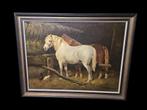 Schilderij PAARDEN in de stal.Gesign., Antiek en Kunst, Kunst | Schilderijen | Klassiek, Ophalen of Verzenden