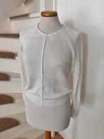 ≥ Witte Trui van Zara Marktplaats