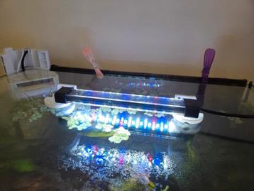 LED-verlichting aquarium  beschikbaar voor biedingen