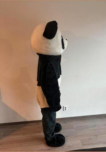 Mascotte pak panda  beschikbaar voor biedingen