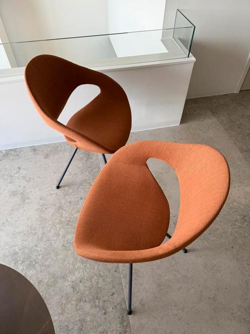 Nieuwe stoelen TONON MOON, 4 stuks, brique, nwprijs €800 pst, Huis en Inrichting, Stoelen, Nieuw, Vier, Stof, Overige materialen