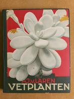 Plaatjes boek “Vetplanten” uit 1932, Ophalen of Verzenden, Gelezen, Plaatjesalbum