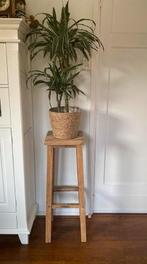 Stoere hoge plantentafel   barkruk, Huis en Inrichting, Minder dan 55 cm, Vierkant, Ophalen of Verzenden, 60 cm of meer