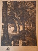 Ets van koeien in landschap, Ophalen of Verzenden