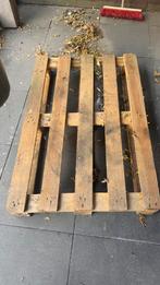 Euro palet, Ophalen of Verzenden, Zo goed als nieuw, Minder dan 200 cm, Pallet