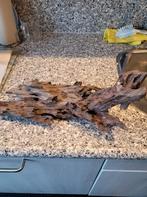 een mooi stuk kienhout, Ophalen of Verzenden, Gebruikt, Plant(en), Steen of Hout