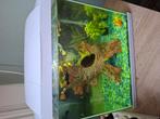 Compleet aquarium, Dieren en Toebehoren, Vissen | Aquaria en Toebehoren, Ophalen of Verzenden, Gebruikt, Gevuld zoetwateraquarium