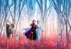 Frozen foto behang, Ophalen of Verzenden, Minder dan 10 m²