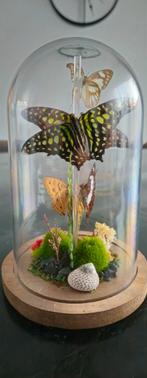 Stolp met diverse vlinders, Ophalen, Zo goed als nieuw