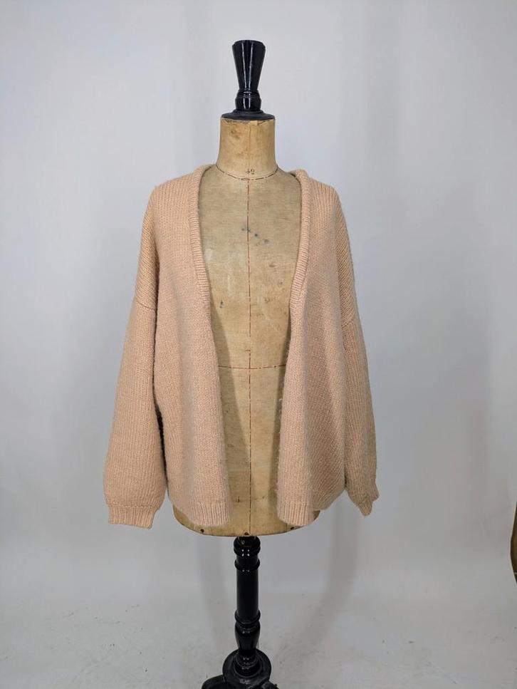 Studio Anneloes Vest - Lichtroze, Kleding | Dames, Truien en Vesten, Zo goed als nieuw, Maat 38/40 (M), Roze, Ophalen of Verzenden