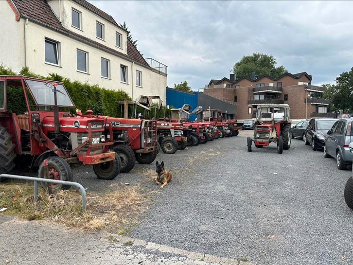 Gezocht  MF Massey Ferguson 135.158.165.168.178.188.275.285, Zakelijke goederen, Agrarisch | Tractoren, Massey Ferguson, tot 80 Pk