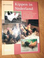 Kippen in Nederland, Meerdere dieren, Kip
