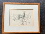 Vintage houten lijstje met tekening van hertje ree 18x22 cm, Ophalen of Verzenden