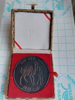 Chinese munt / medaille, Ophalen of Verzenden