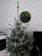 GRATIS kerstboom denneboom voor herplant, Ophalen, Volle zon, Overige soorten