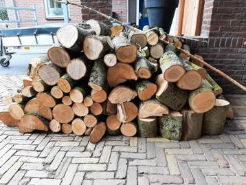 Mooie partij haardhout essen-  / eiken en kersenhout  beschikbaar voor biedingen