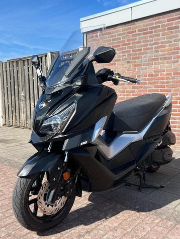 SYM 300 CRUISYM (BELG)  2019 beschikbaar voor biedingen