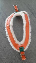 Hondentuigje van DWAM, Ophalen of Verzenden, Nieuw