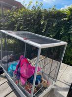 Knaadierkooien & toebehoren, Ophalen, Zo goed als nieuw, Kooi, 60 tot 90 cm
