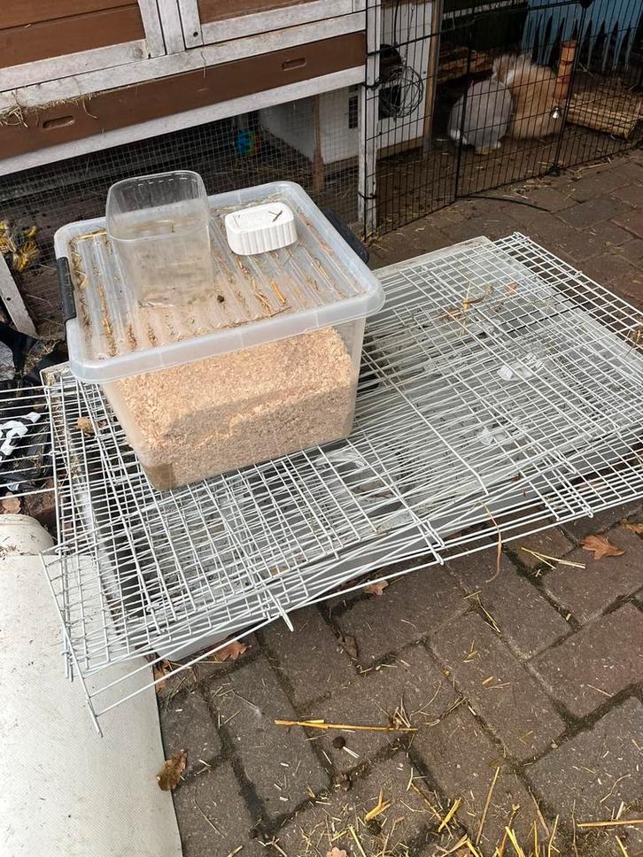 Konijnenhok 2 stuks, Dieren en Toebehoren, Knaagdieren en Konijnen | Hokken en Kooien, Zo goed als nieuw, Hok, Minder dan 60 cm